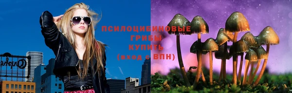 стаф Абдулино