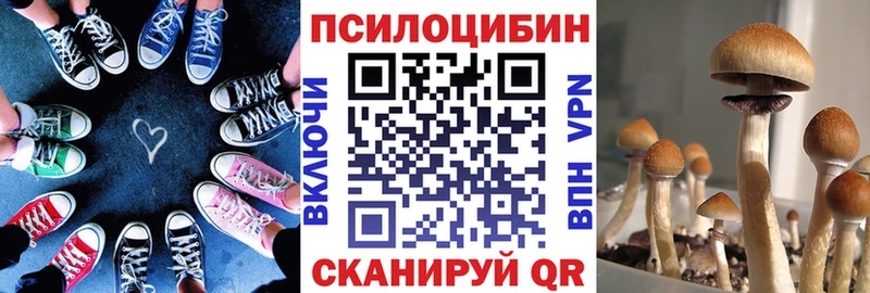 Псилоцибиновые грибы мухоморы  Воронеж 